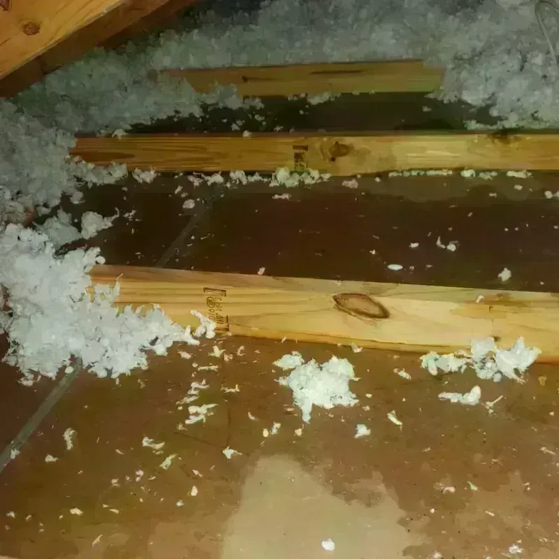 Attic Water Damage in Surfside, FL