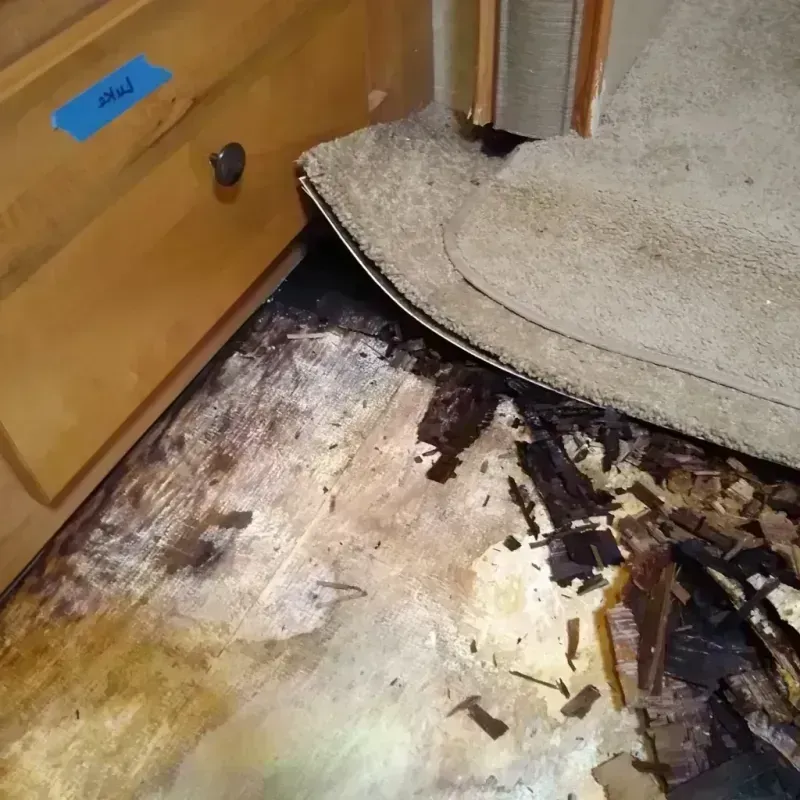 Wood Floor Water Damage in Surfside, FL